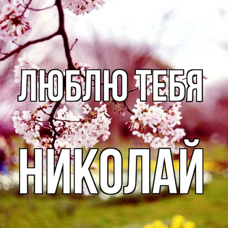 Картинка Люблю тебя, Николай
