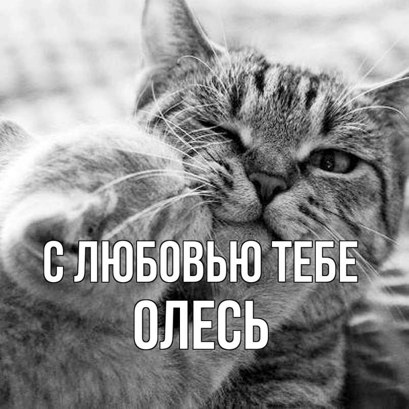 Картинка С любовью тебе, Олесь