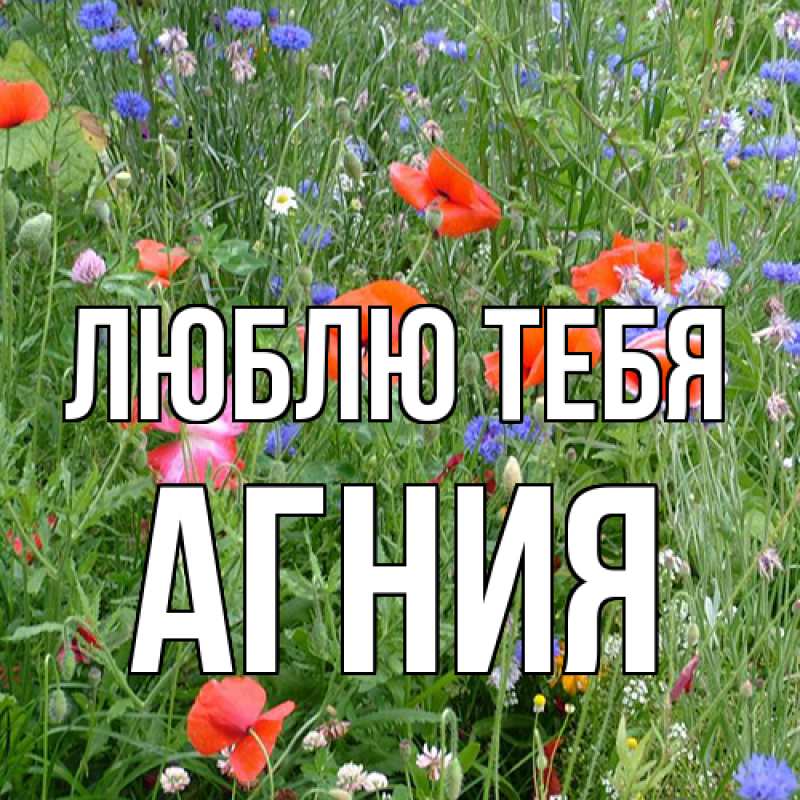 Открытка с именем, Агния, Люблю тебя
