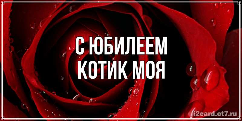 Картинка C юбилеем, Котик моя