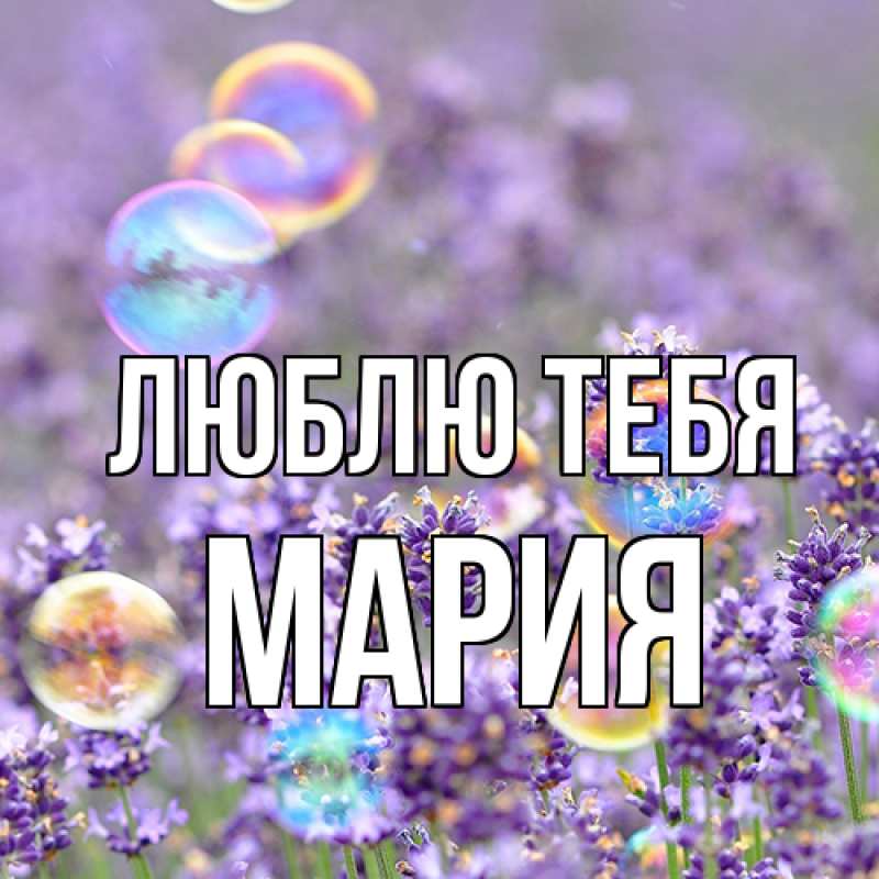 Картинка Люблю тебя, Мария