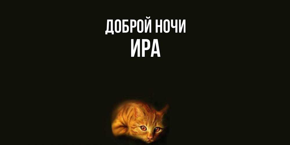 Открытка на каждый день с именем, Ира Доброй ночи кот Прикольная открытка с пожеланием онлайн скачать бесплатно 