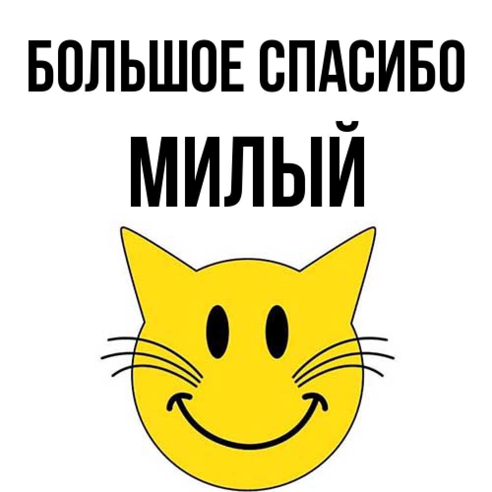 Открытка на каждый день с именем, Милый Большое спасибо улыбающийся смайл кот Прикольная открытка с пожеланием онлайн скачать бесплатно 