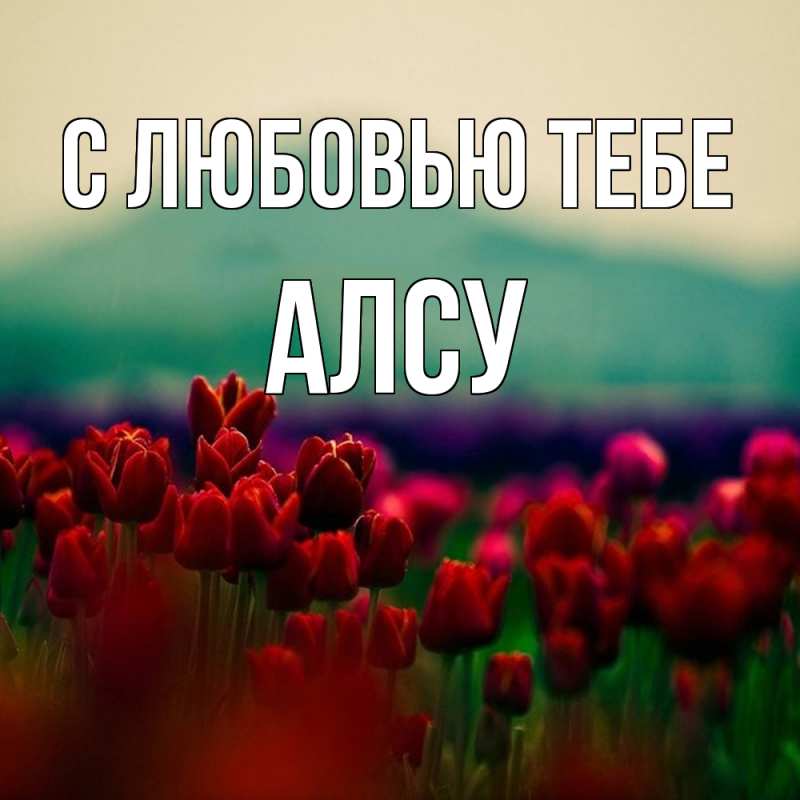 Картинка С любовью тебе, Алсу