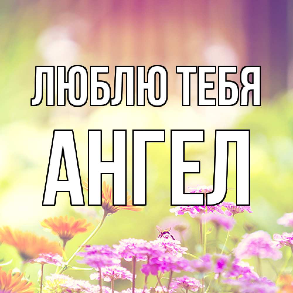 Открытка на каждый день с именем, Ангел Люблю тебя цветы весна Прикольная открытка с пожеланием онлайн скачать бесплатно 