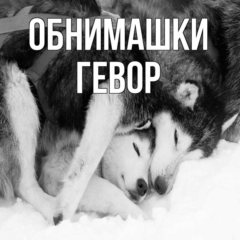 Картинка Обнимашки, Гевор