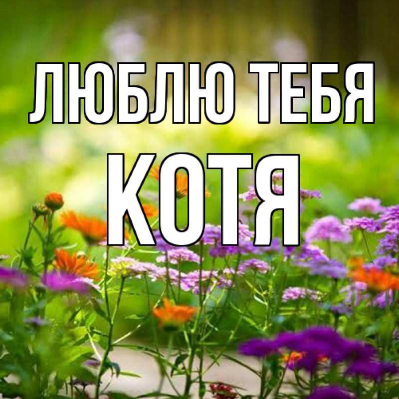 Картинка Люблю тебя, Котя
