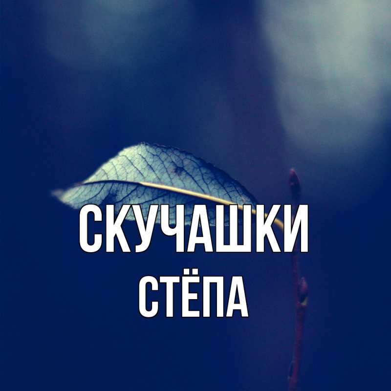 Картинка Скучашки, Стёпа