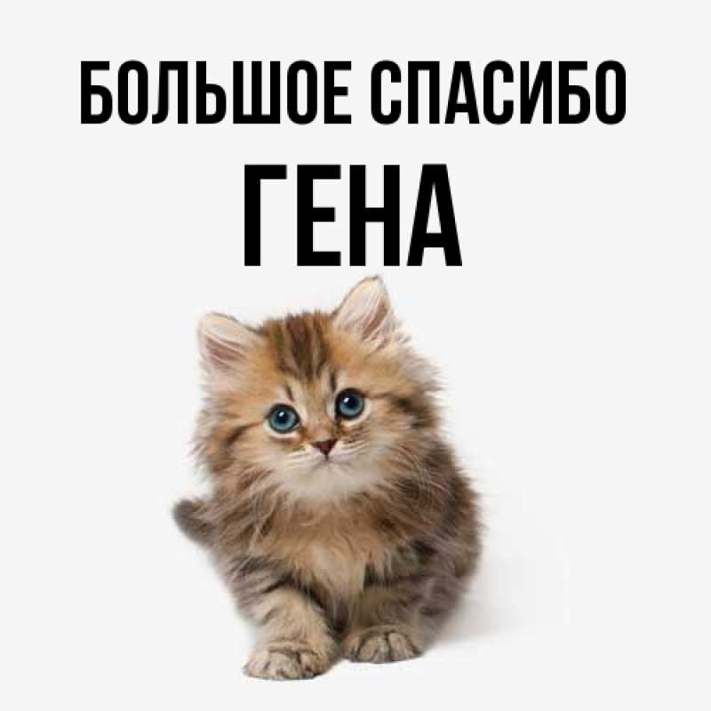 Открытка с именем, Гена, Большое спасибо