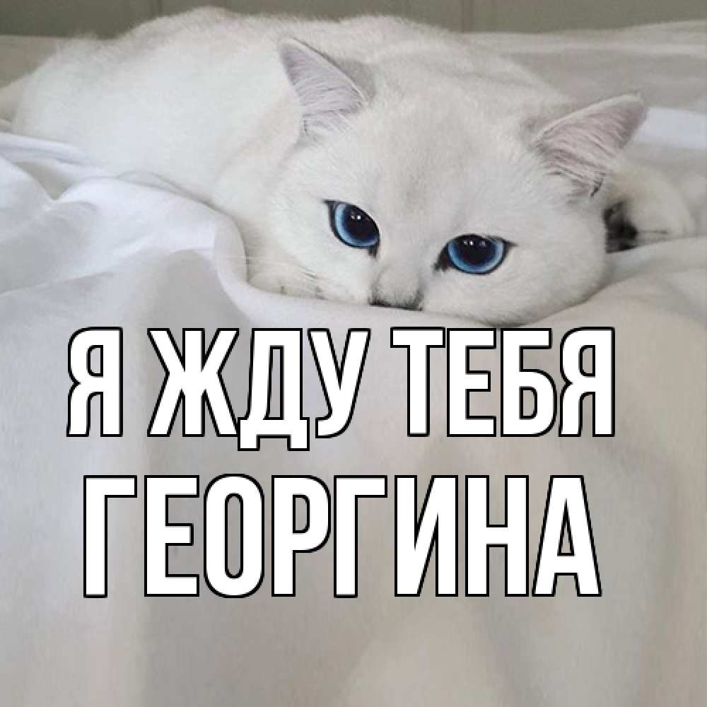Открытка на каждый день с именем, Георгина Я жду тебя я очень по тебе скучаю и тоскую Прикольная открытка с пожеланием онлайн скачать бесплатно 