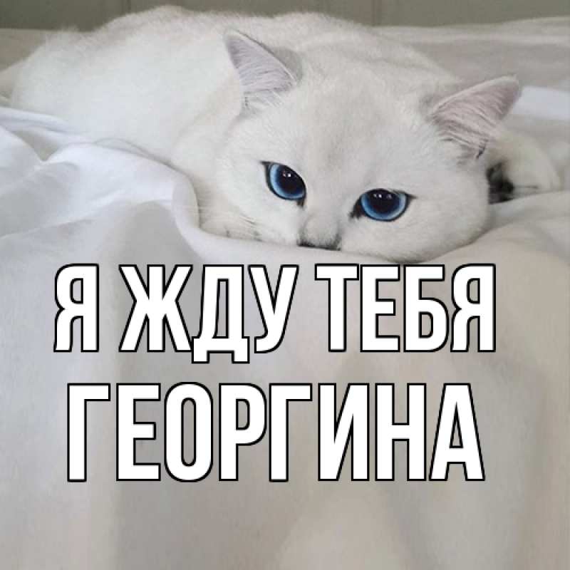 Картинка Я жду тебя, Георгина
