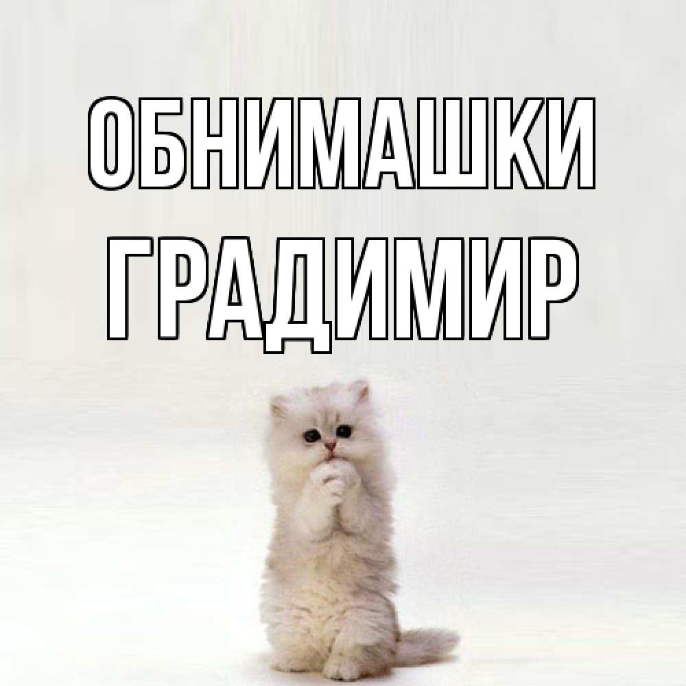 Открытка на каждый день с именем, Градимир Обнимашки открытки с креативными подписями Прикольная открытка с пожеланием онлайн скачать бесплатно 