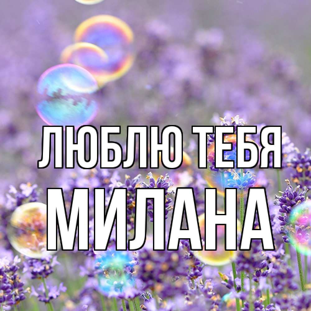 Открытка на каждый день с именем, Милана Люблю тебя цветы Прикольная открытка с пожеланием онлайн скачать бесплатно 