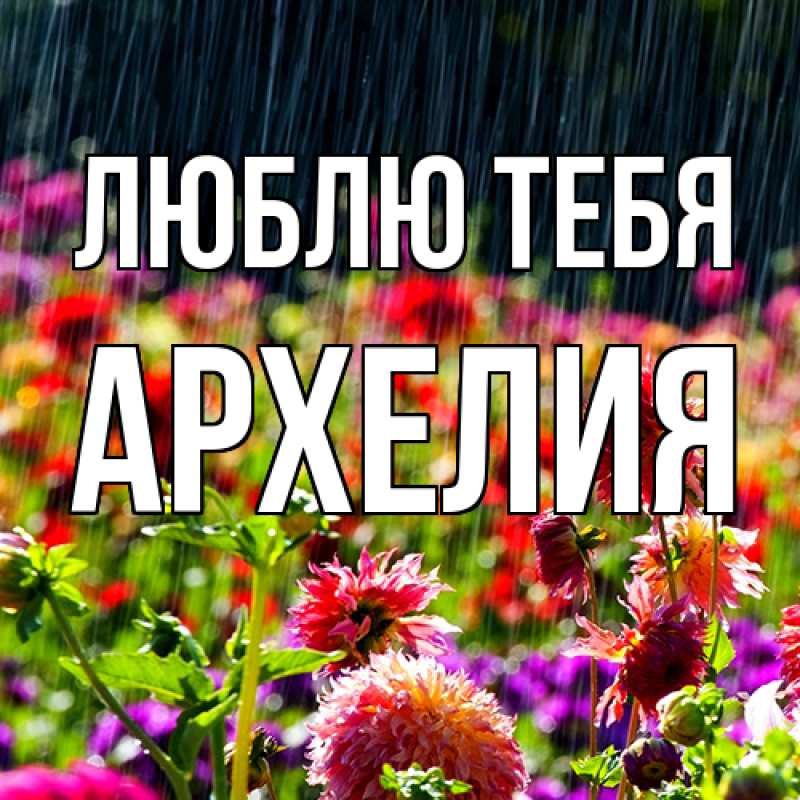 Картинка Люблю тебя, Архелия
