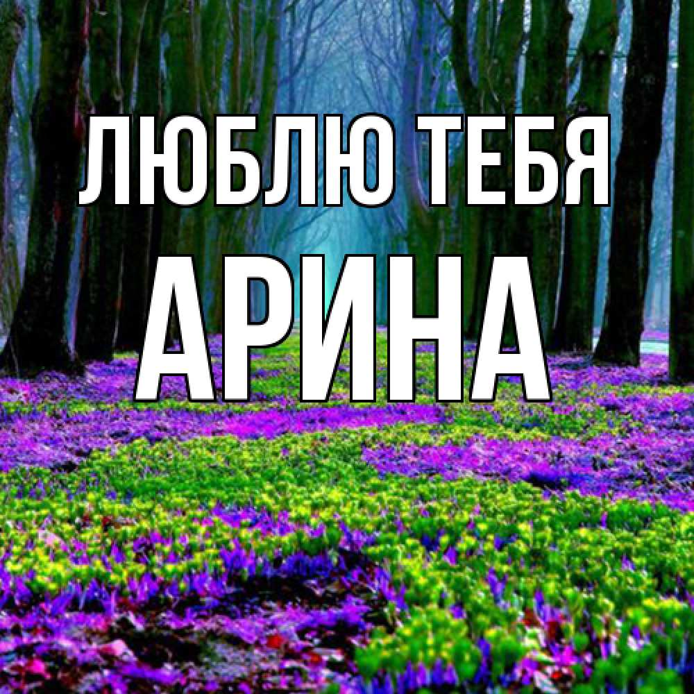 Открытка на каждый день с именем, Арина Люблю тебя фиолетовые цветы в лесу 1 Прикольная открытка с пожеланием онлайн скачать бесплатно 