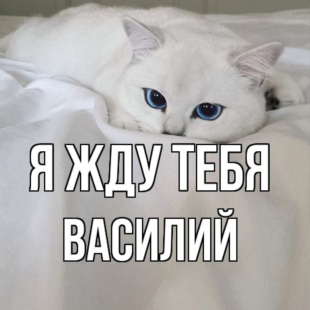 Открытка на каждый день с именем, Василий Я жду тебя я очень по тебе скучаю и тоскую Прикольная открытка с пожеланием онлайн скачать бесплатно 