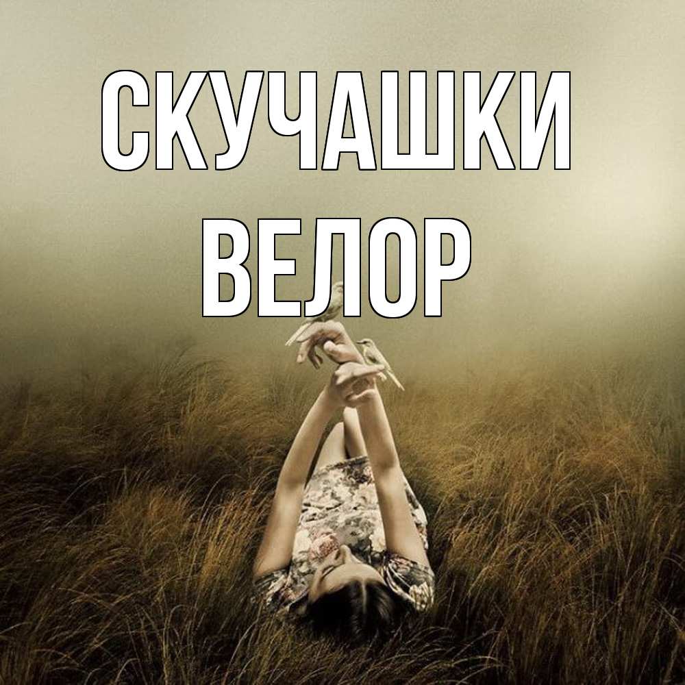 Открытка на каждый день с именем, Велор Скучашки девушка с голубями Прикольная открытка с пожеланием онлайн скачать бесплатно 