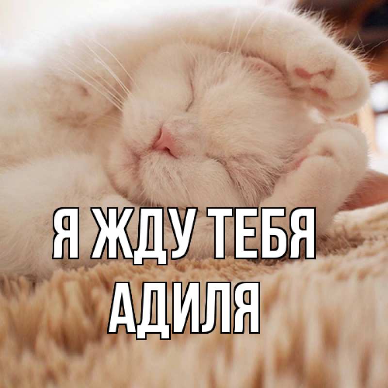 Картинка Я жду тебя, Адиля
