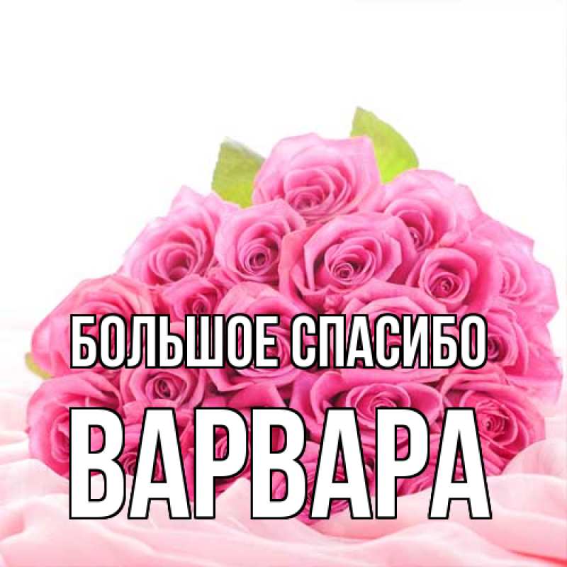 Картинка Большое спасибо, Варвара