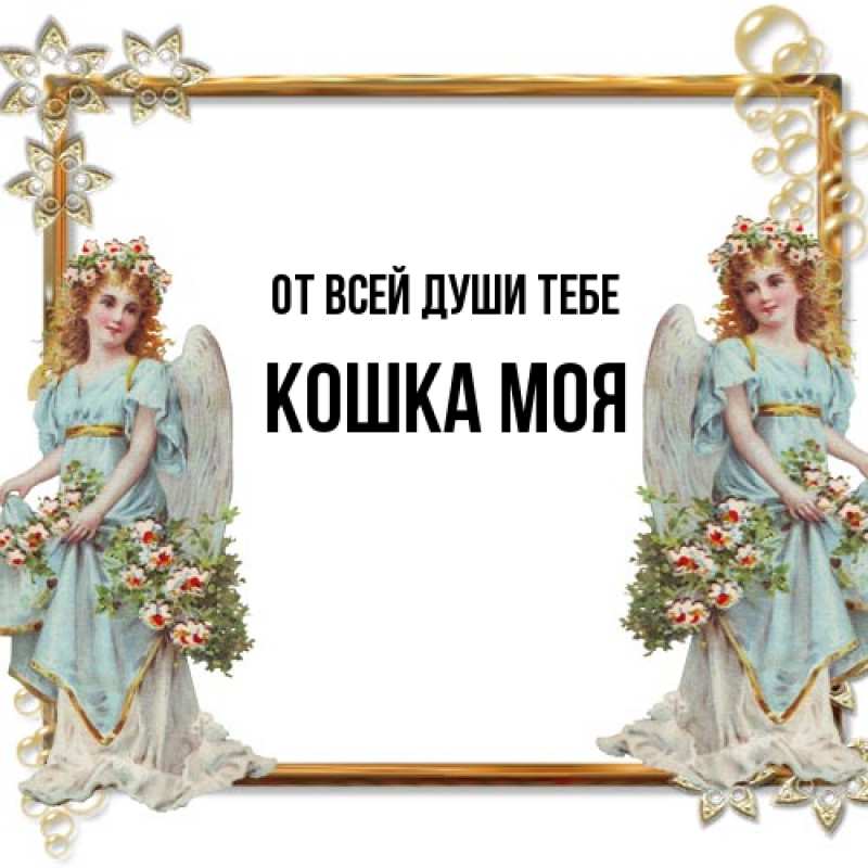 Картинка От всей души тебе, Кошка моя