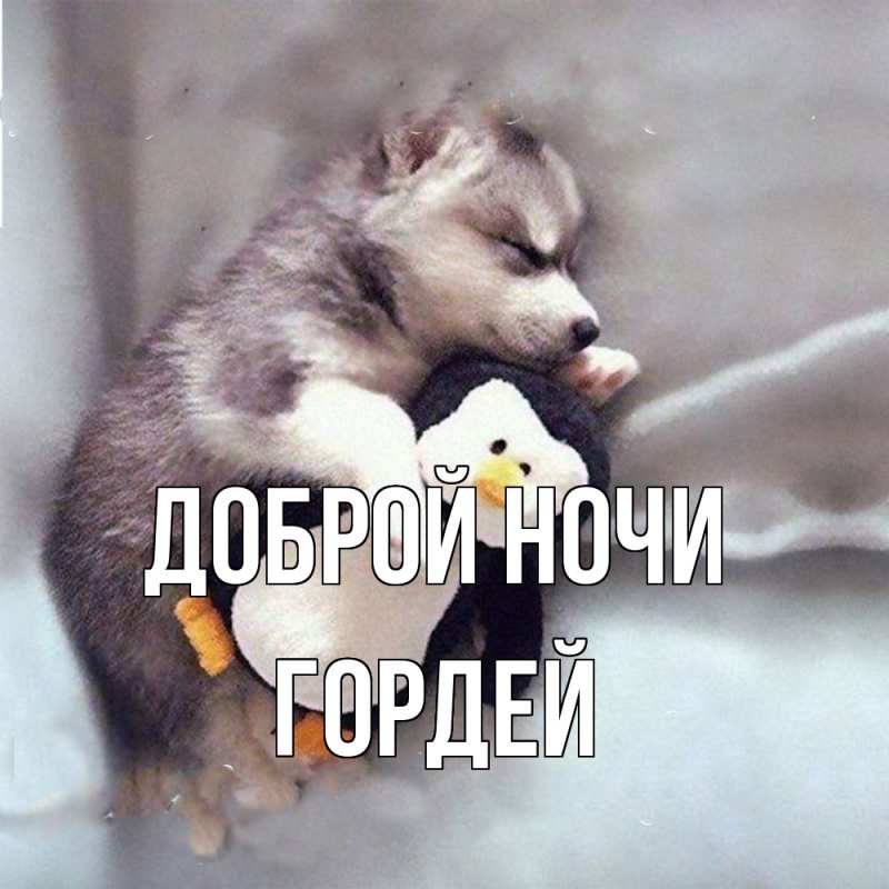 Картинка Доброй ночи, Гордей