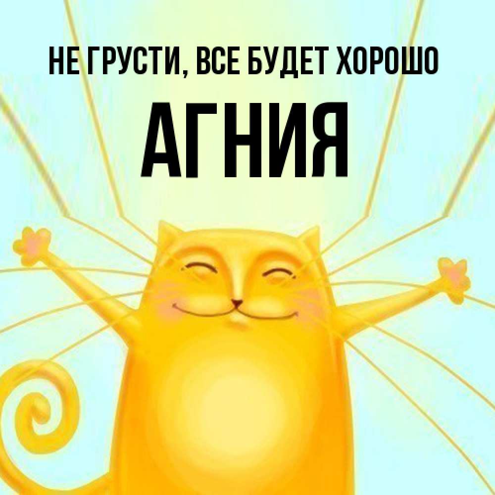 Открытка на каждый день с именем, Агния Не грусти все будет хорошо обнимашки усатые Прикольная открытка с пожеланием онлайн скачать бесплатно 