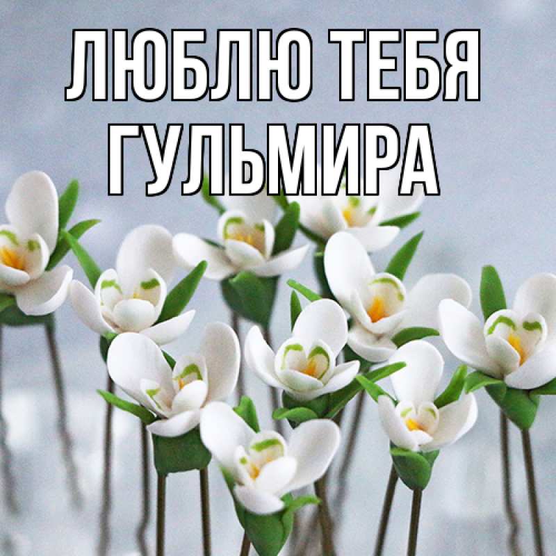 Картинка Люблю тебя, Гульмира