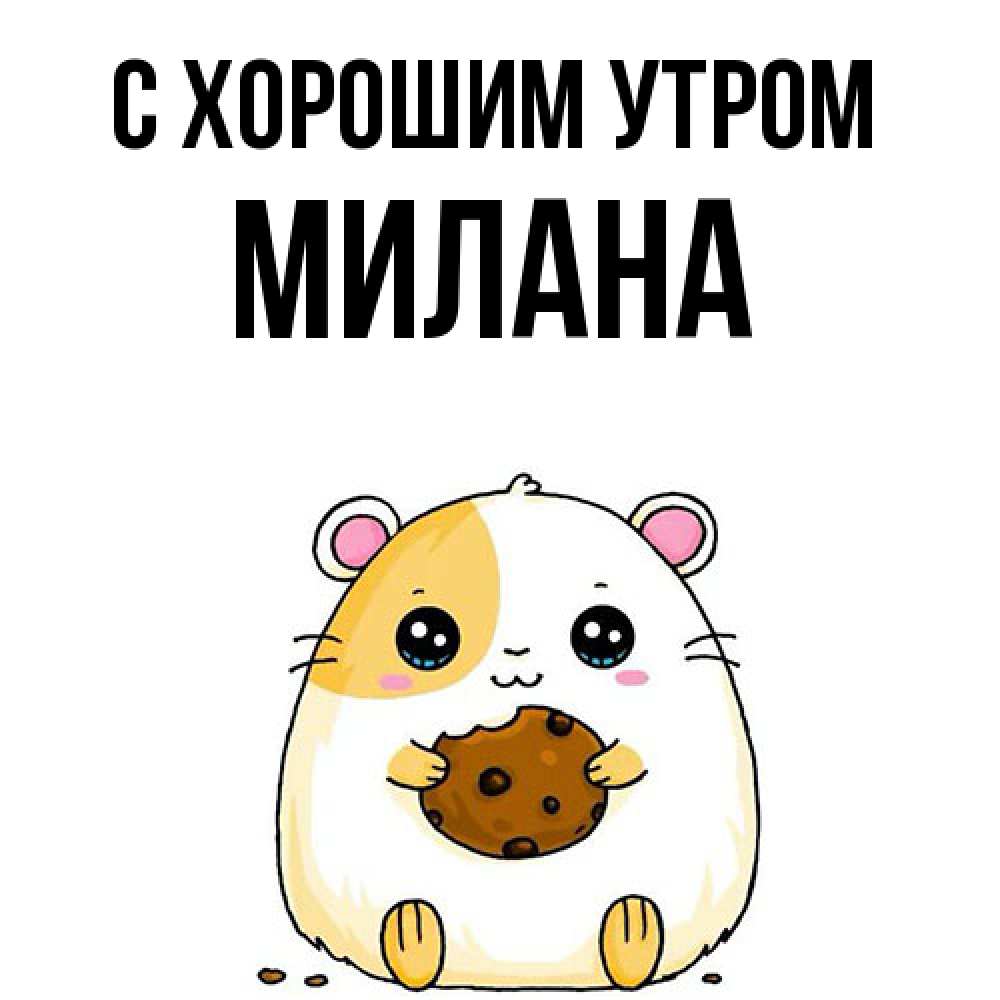 Открытка на каждый день с именем, Милана С хорошим утром есть печеньку. Утречко Прикольная открытка с пожеланием онлайн скачать бесплатно 