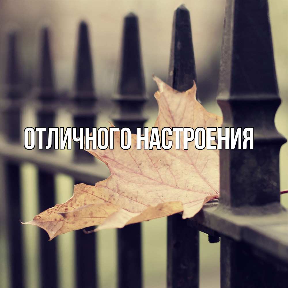 Открытка на каждый день с именем, Песподобная Скучашки очень скучно Прикольная открытка с пожеланием онлайн скачать бесплатно 