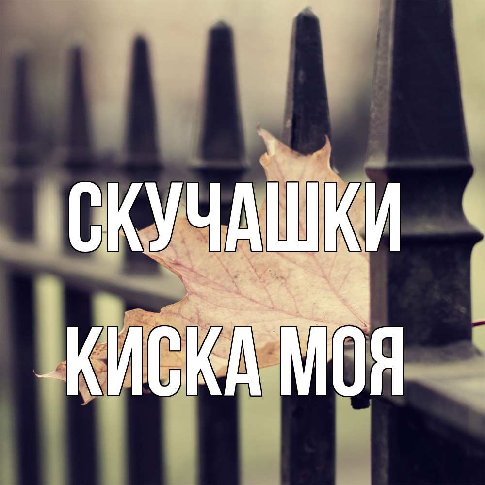 Открытка на каждый день с именем, Киска-моя Скучашки очень скучно Прикольная открытка с пожеланием онлайн скачать бесплатно 