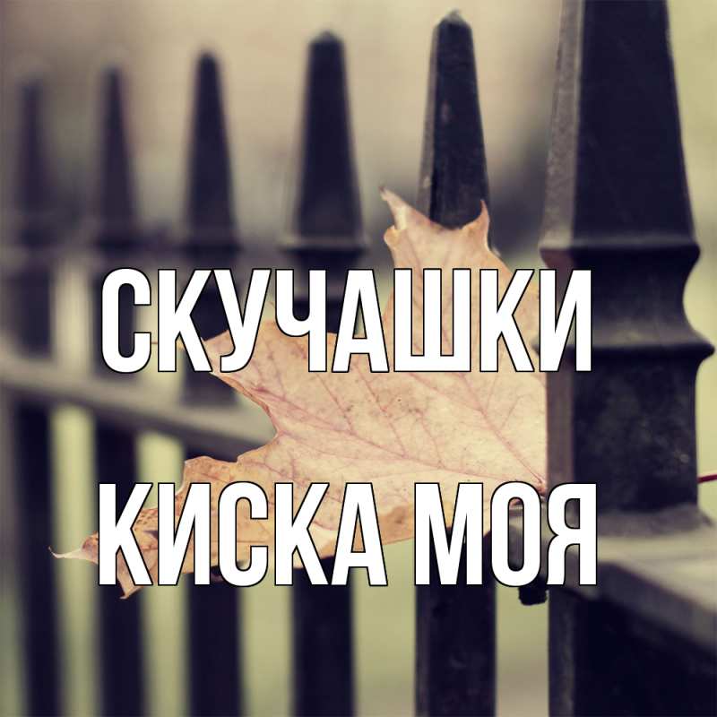 Картинка Скучашки, Киска моя