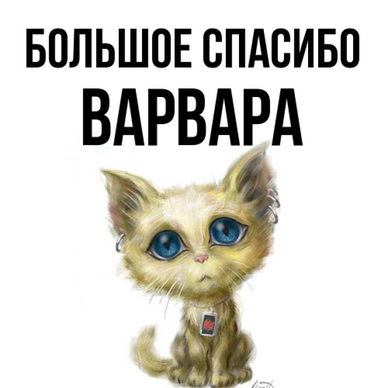 Картинка Большое спасибо, Варвара