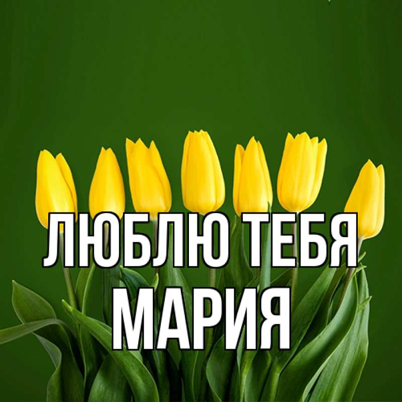 Картинка Люблю тебя, Мария