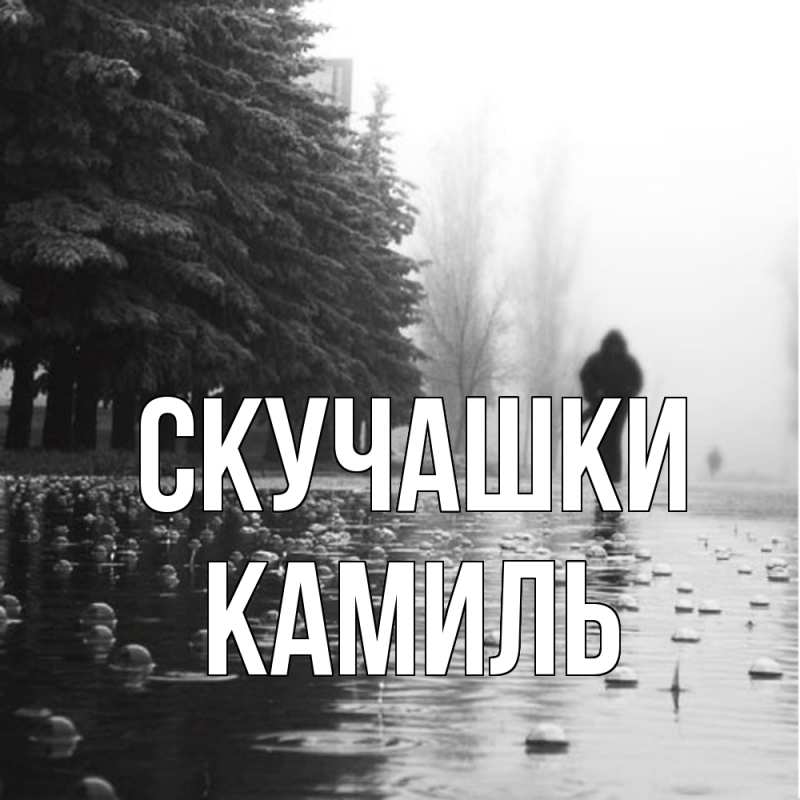 Открытка с именем, Камиль, Скучашки