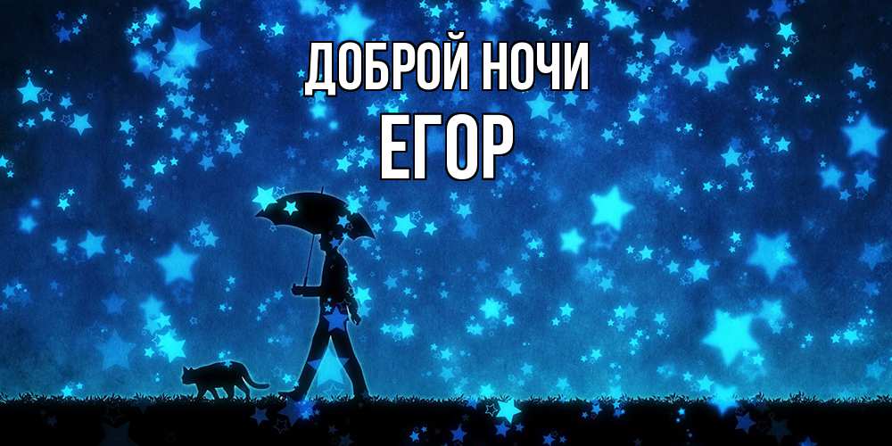 Открытка на каждый день с именем, Егор Доброй ночи ночные прогулки с котом под звездами Прикольная открытка с пожеланием онлайн скачать бесплатно 