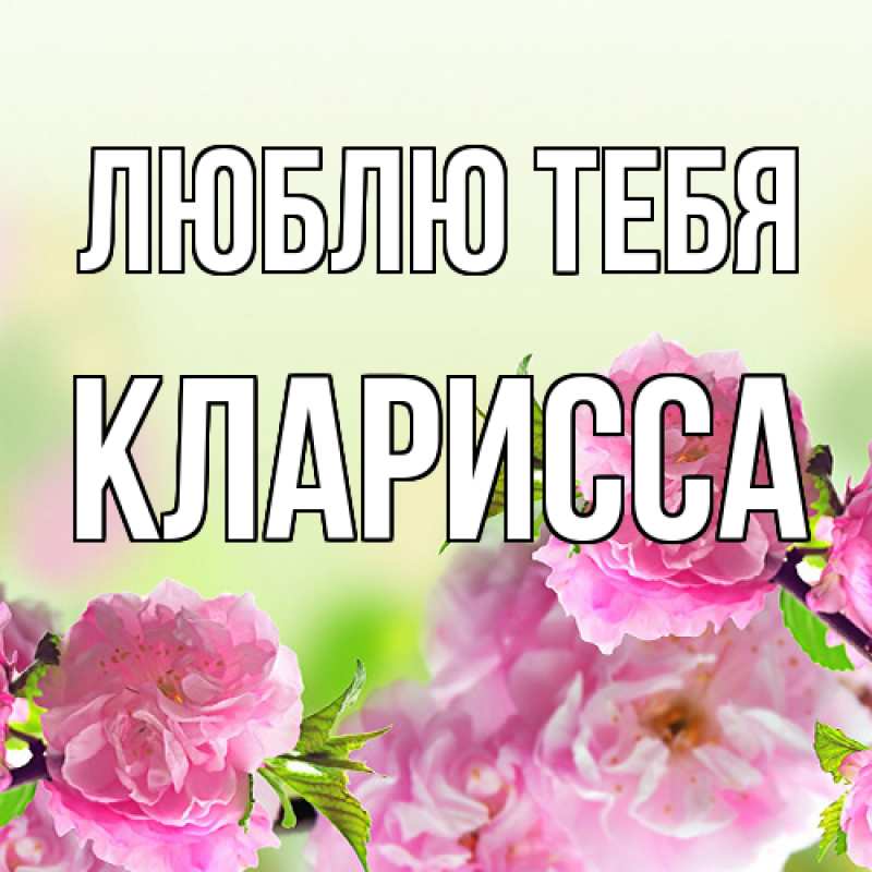 Картинка Люблю тебя, Кларисса