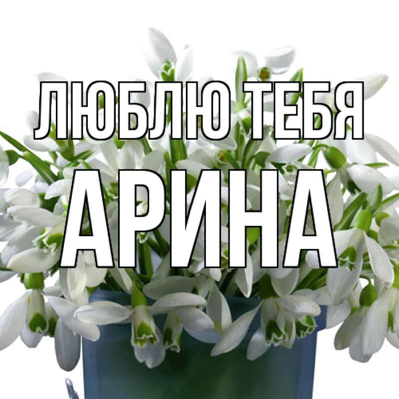 Картинка Люблю тебя, Арина