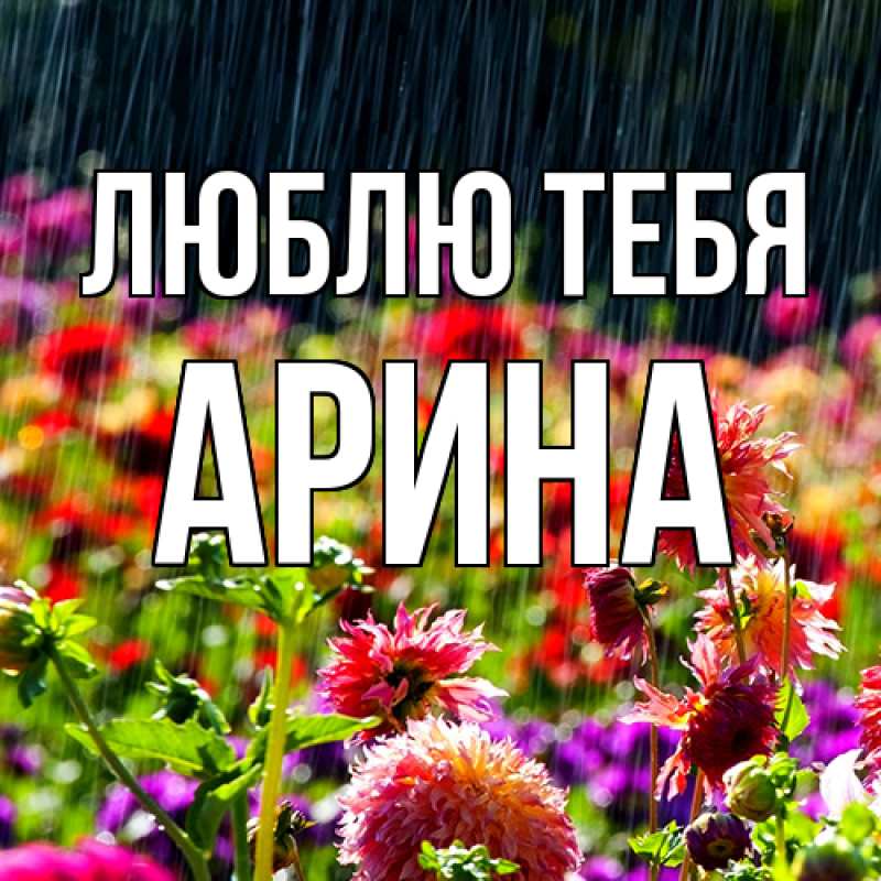 Картинка Люблю тебя, Арина