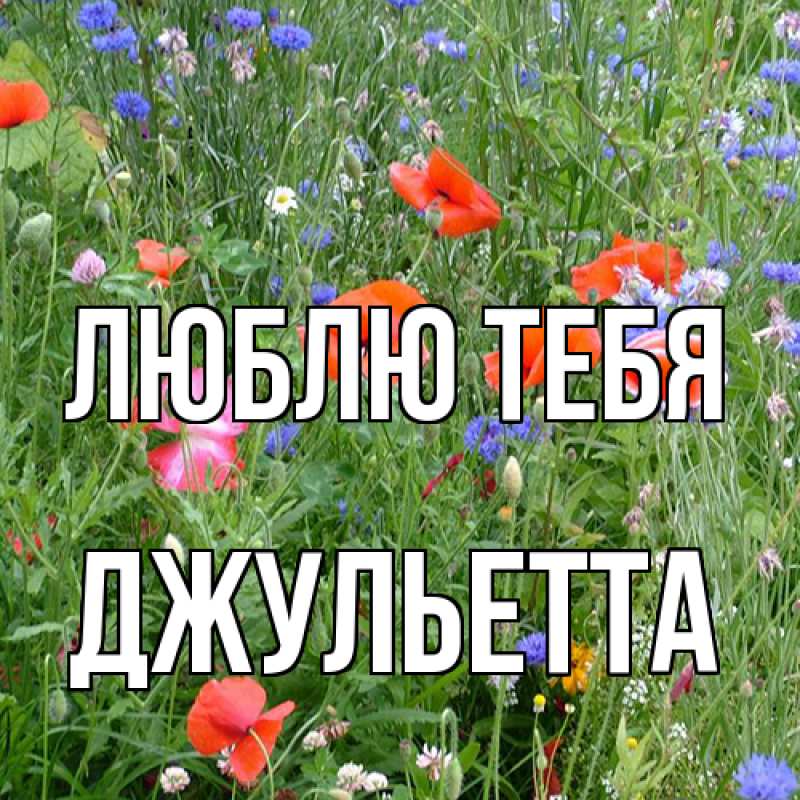 Картинка Люблю тебя, Джульетта