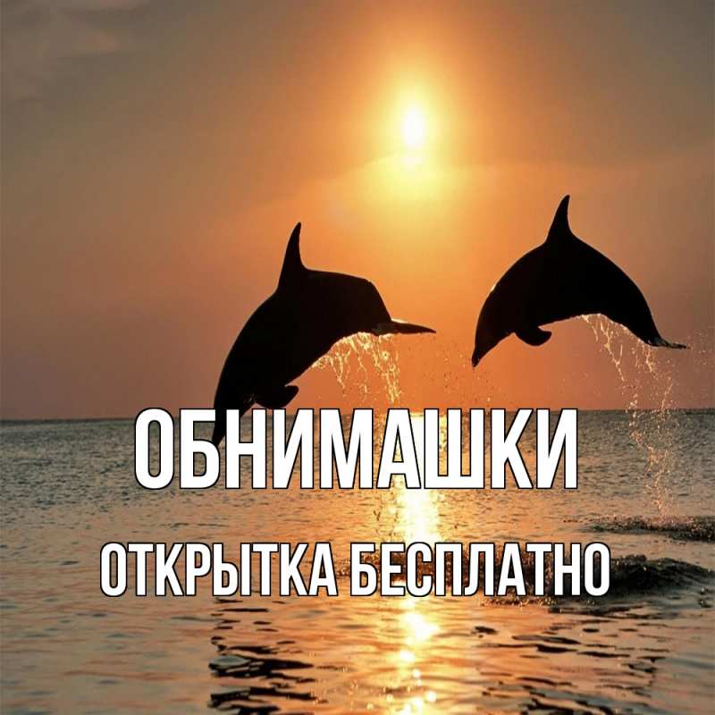 Картинка Обнимашки, открытка бесплатно