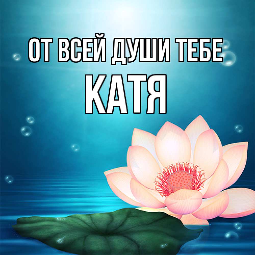 Открытка на каждый день с именем, Катя От всей души тебе кувшинка Прикольная открытка с пожеланием онлайн скачать бесплатно 