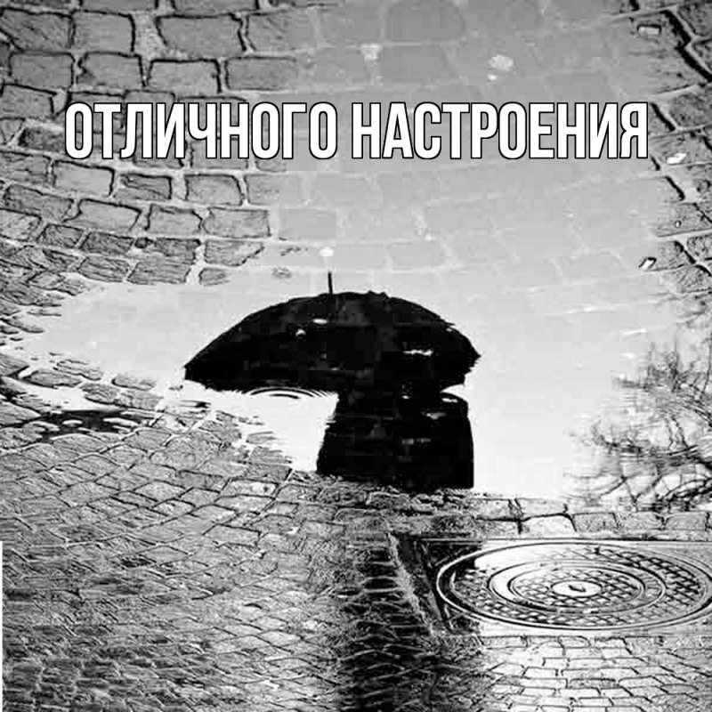 Картинка Скучашки, Песподобная