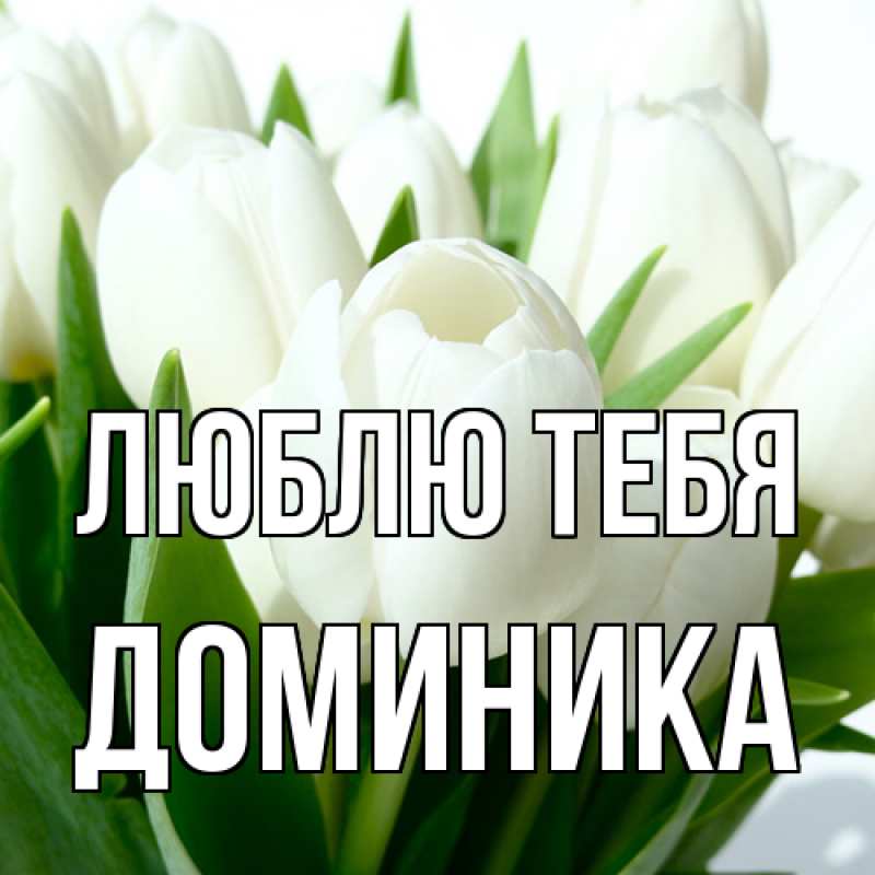 Картинка Люблю тебя, Доминика