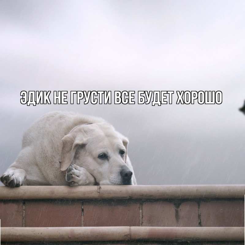 Картинка Не грусти, все будет хорошо, Эдик