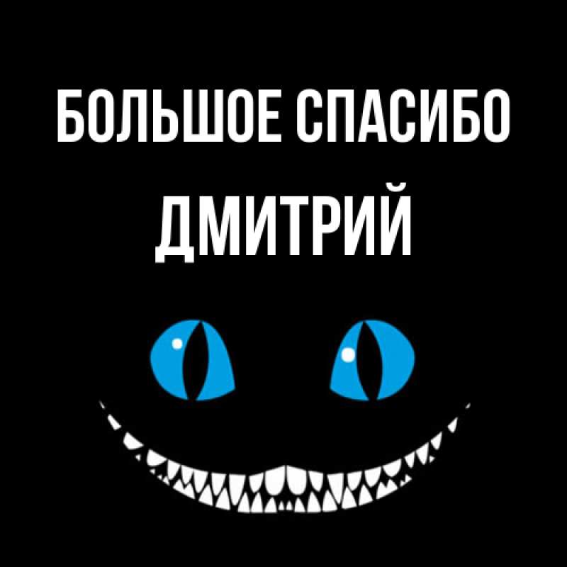 Картинка Большое спасибо, Дмитрий
