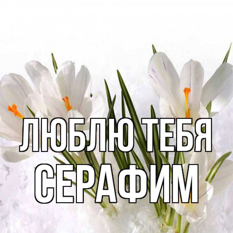 Открытка с именем, Серафим, Люблю тебя