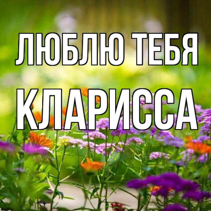 Картинка Люблю тебя, Кларисса