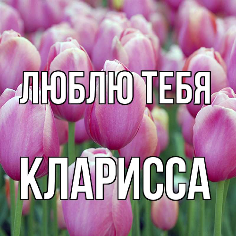 Картинка Люблю тебя, Кларисса