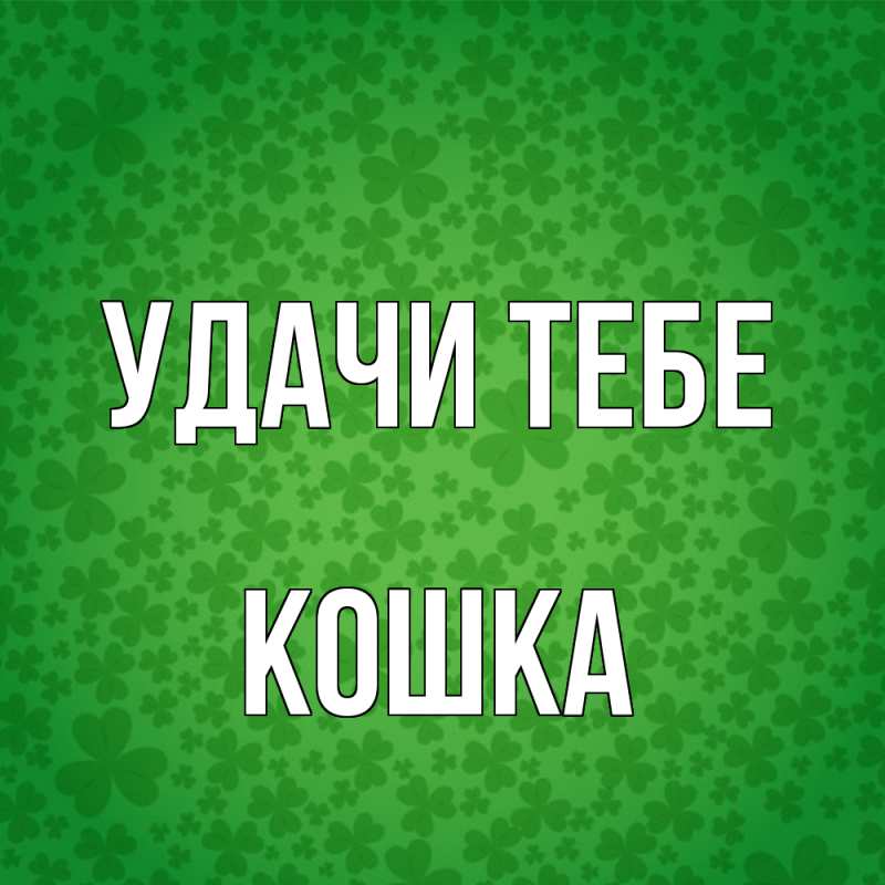 Картинка Удачи тебе, Кошка