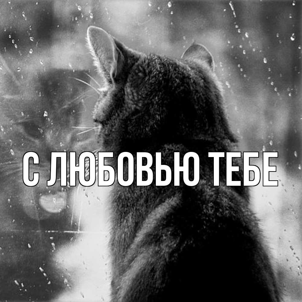 Открытка на каждый день с именем, Зухра Скучашки скорее ко мне приходи 1 Прикольная открытка с пожеланием онлайн скачать бесплатно 